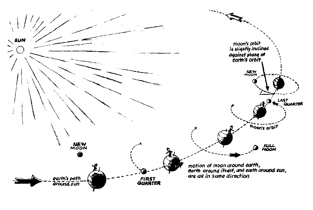 Stars and constellations worksheet answers image